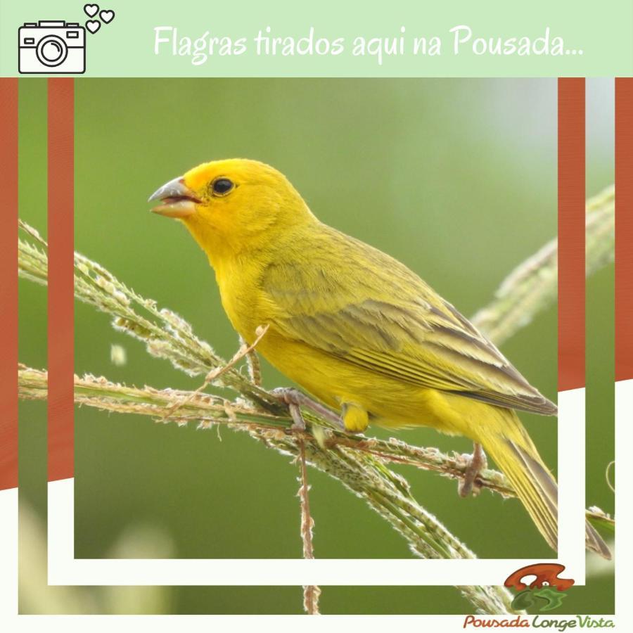 Pousada Longe Vista ติบาจิ ภายนอก รูปภาพ