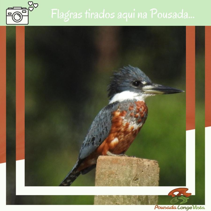 Pousada Longe Vista ติบาจิ ภายนอก รูปภาพ